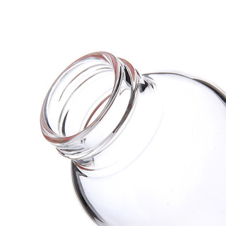 富光 水漾系列 WFB5001-580 单层玻璃杯 580ml 本色