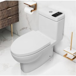 KOHLER 科勒 28866T/28867T 五级旋风虹吸智能马桶 305mm