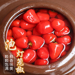 贵三红灯笼椒泡辣椒4斤/袋