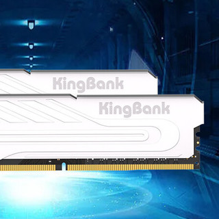 KINGBANK 金百达 银爵系列 DDR4 3600MHz 台式机内存 马甲条 白色 64GB 32GB×2