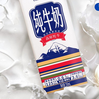 TREASURE OF TIBET 高原之宝 纯牛奶 250ml*12盒