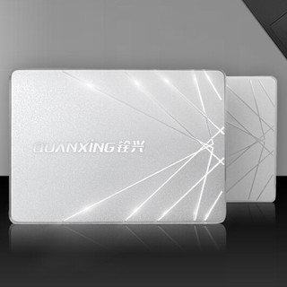 QUANXING 铨兴 S101系列 SATA 固态硬盘 512GB（SATA3.0）银色