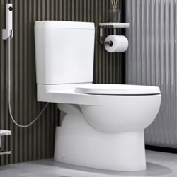 KOHLER 科勒 齐悦系列 K-22746T-S-0 分体式马桶