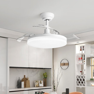 雷士照明 雷士（NVC）风扇灯吊扇灯隐形简约北欧餐厅卧室Ra95高显白色遥控变频定时36寸