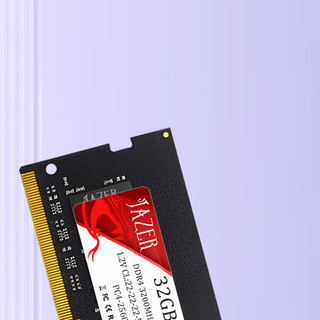JAZER 棘蛇 DDR4 3200MHz 笔记本内存 普条 黑色 32GB