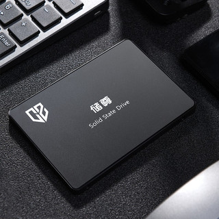 CHU ZUN 储尊 CS101 固态硬盘 256GB（SATA3.0）