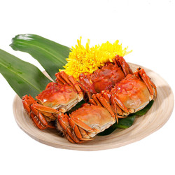 姑苏渔歌 4对8只装尊贵型 螃蟹礼盒礼品卡 海鲜水产
