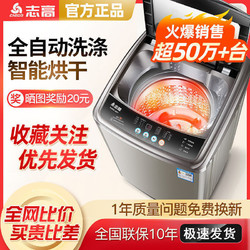 CHIGO 志高 XQB75-3801 4.8公斤 波轮洗衣机