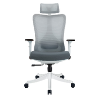 ZIZKAK 支家 A086 人体工学电脑椅 灰框灰网