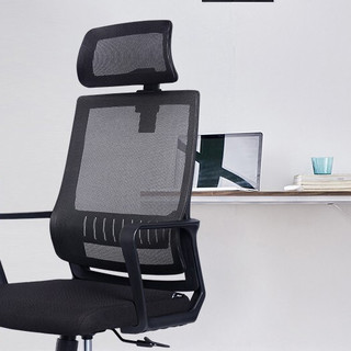 DIOUS 迪欧 人体工学电脑椅 黑色 A款 钢制脚