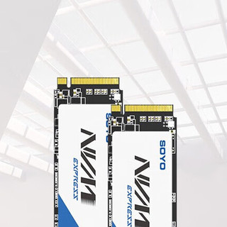 SOYO 梅捷 NVMe M.2 固态硬盘 512GB（PCI-E 3.0）