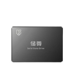 CHU ZUN 储尊 CS101 固态硬盘 512GB（SATA3.0）