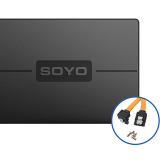 SOYO 梅捷 固态硬盘 1TB SATA接口 (SATA3.0)+SATA线+螺丝