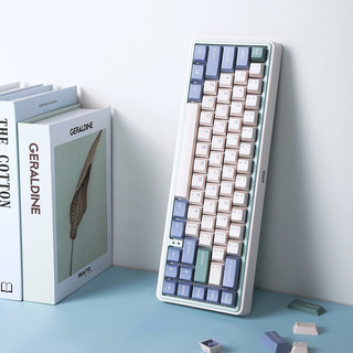 VARMILO 阿米洛 VXB67 67键 2.4G蓝牙 双模无线机械键盘 尤加利 静电容雏菊黄轴 无光