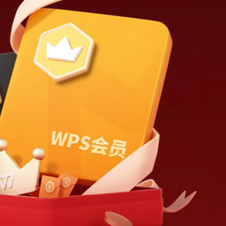 WPS 金山软件 WPS会员 5年卡