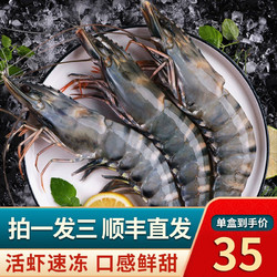 沃鲜汇 黑虎虾沃鲜汇活冻越南黑虎虾 生鲜虾类 虎虾 3盒13-14cm