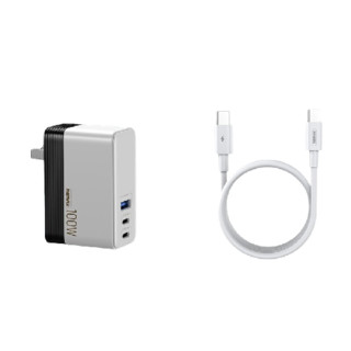 REMAX 睿量 RP-U99 氮化镓充电器 USB-A/双Type-C 100W+双Type-C 100W 数据线 2m 白色