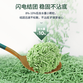 CATDORA 喵哆啦 绿茶味6L 2.5kg 速溶