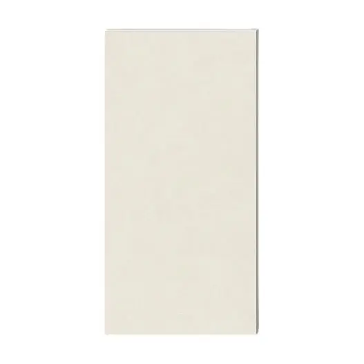 远晶 全瓷系列 WSN06 柔光釉瓷砖