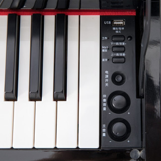 hetitch P-310 电钢琴 88键重锤键盘 木纹黑
