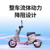 AIMA 爱玛 小乔Q160 新国标电动车 48V20AH
