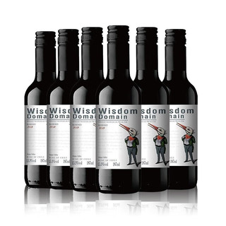 威珞特菲 迈坡谷干红葡萄酒 2019年 6瓶*750ml套装