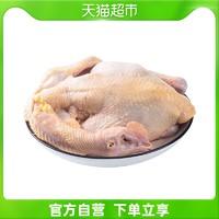 湘佳 麻公鸡1.1kg/只鸡肉
