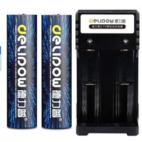 Delipow 德力普 18650 锂电池 双槽充电器 黑蓝 5550mWh 2节