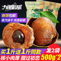 九鲤湖 桂圆 _共500g*2袋新货桂圆干福建特产龙眼干货桂圆肉非无核