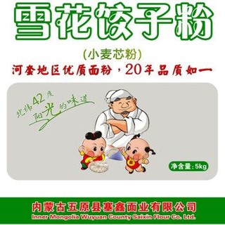 XIN LE TOYS 鑫乐 河套雪花饺子粉（小麦芯粉）2.5KG 农产品地理标志 中筋高筋