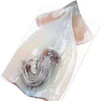 澳角灯塔 海捕鱿鱼 500g