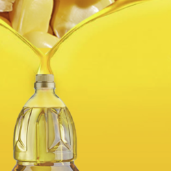 喵满分 自有品牌浓香玉米油1.8L非转基因玉米胚芽油物理冷榨食用油 1件装