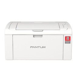PANTUM 奔图 P2210W 黑白激光打印机+1支硒鼓