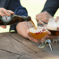 布马 SWINKELS FAMILY BREWERS PALM 琥珀啤酒 500ml*12罐