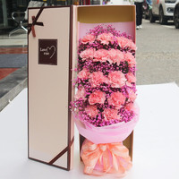馨仪 教师节鲜花速递  19朵粉色康乃馨礼盒