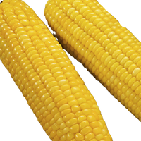 闲居人 黄糯玉米 1.8kg