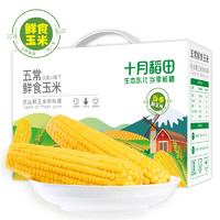 28日0点：十月稻田 五常鲜食玉米  2.2kg
