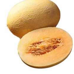 mrseafood京鲜生黄皮哈密瓜单果89kg34个礼盒装