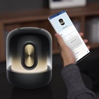 移动端、京东百亿补贴：华为 Sound X 鎏金剧院版 桌面 蓝牙音箱 鎏光金