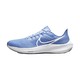 NIKE 耐克 Air Zoom Pegasus 39 TB 男子跑鞋 DM0164-404