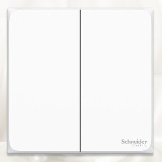 Schneider Electric 施耐德电气 皓呈系列 A3T32L1_WE_C1 双开单控开关 奶油白