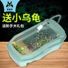 宠尚天 乌龟缸送2只小乌龟活体巴西龟物带晒台龟盆宠物盒儿童礼物