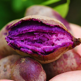 山东农家紫薯5斤装香甜软糯新鲜蔬菜