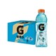 GATORADE 佳得乐 蓝莓味功能性饮料600ml×15瓶（新老包装随机发货）