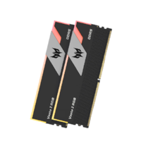 PREDATOR 宏碁掠夺者 Vesta II 炫光星舰 DDR5 6000MHz 台式机内存条 32GB(16GB×2) C30