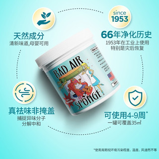 百思帮 美国进口 Bad Air Sponge 空气净化剂 400g/罐 孕妈适用 甲醛装修异味