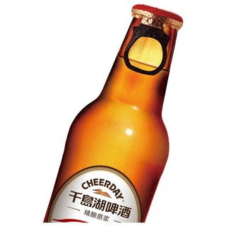 CHEERDAY 千岛湖啤酒 精酿原浆啤酒 420ml*12瓶*4箱