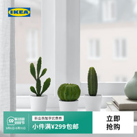 IKEA宜家FEJKA菲卡人造盆栽带花盆室内户外仙人掌现代简约北欧风 人造盆栽带花盆，3件套室内/户外 仙人掌6 厘米