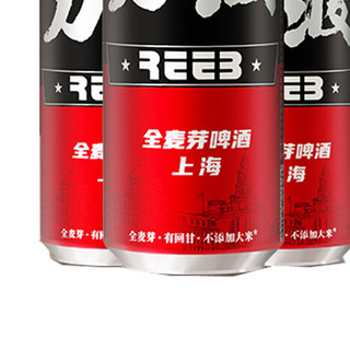 REEB 力波啤酒 全麦芽 啤酒 500ml*12罐