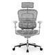 PLUS会员：保友办公家具 金豪B 人体工学电脑椅 灰框银白色 纹型网 高配版